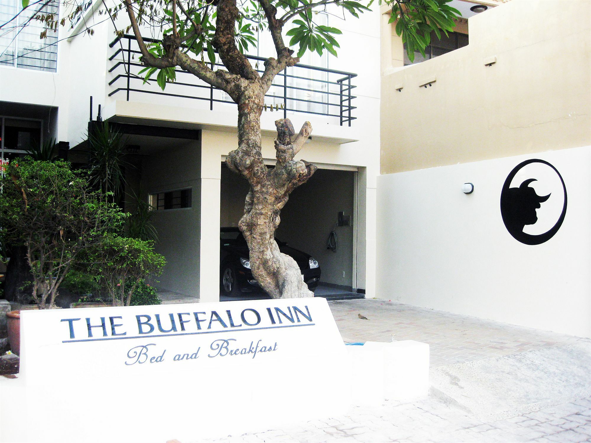 Buffalo Inn Vũng Tàu Exterior foto